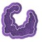 Mexican Cactus Wreath Cookie Cutter and Stamp with Size Options, Mexican Theme
